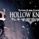 hollow knight